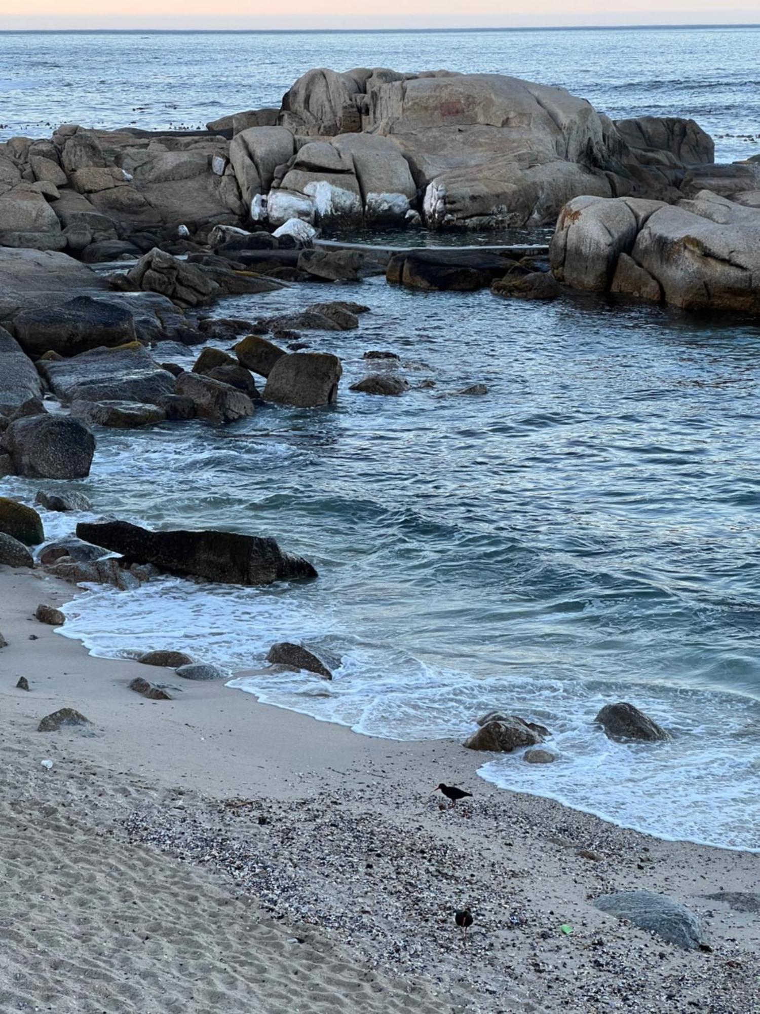 开普敦Sea Point Kingsgate No 10公寓 外观 照片